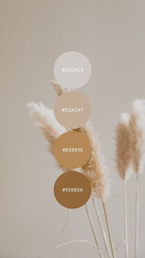 Caramel Palette Colour, Wheat Color Palette, Spa Color Palette, Cream Wheat, Interior Design Ideas Bathroom, Elegant Modern Bathroom, Floor Tiles Bathroom, Modern Bathroom Designs, Dairy Packaging