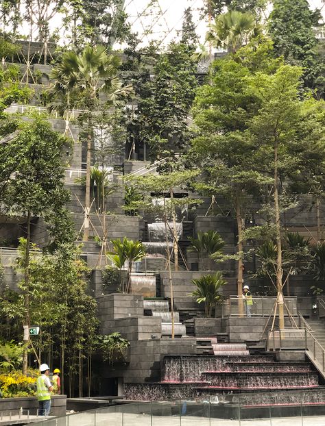 First photos inside the nearly completed Jewel Changi Airport addition | Building Design + Construction Jewel Changi Airport, Moshe Safdie, Indoor Water Features, Changi Airport, Indoor Waterfall, Plans Architecture, Landscape Architecture Design, Landscaping Supplies, Green Architecture