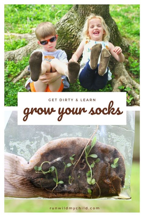 Fun & super easy science experiment for kids - grow you own socks! Wear a pair of old socks and run around outside. Grow them in bag in your window! Read the full post for tips and advice on how to get the most out of this fun outdoor science project! #stemkids #stemactivities #scienceforkids #outdooractivities #outdoorkids #outdoorideas #outdoorscience #scienceexperiments #stemforkids #growyoursocks #runwildmychild Outdoor Science, Science Experiment For Kids, Outdoor Learning Activities, Experiment For Kids, Planting For Kids, Early Literacy Activities, Nature Science, Activities For Girls, Outdoors Inside