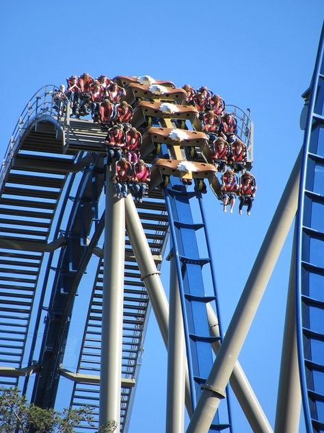 Wild Eagle - Dollywood ~ HOME! ~ WE LOVE THIS RIDE!!! SO MUCH FUN!!! AWESOME 1st DROP! We were on the 1st Ride of the 2013 Season yesterday Dollywood Park, Hershey Park Roller Coasters, Creepy Roller Coaster, Wild Eagle, Best Roller Coasters, Insane Roller Coasters, Roller Coaster Accidents, Best Amusement Parks, Biggest Roller Coaster In The World