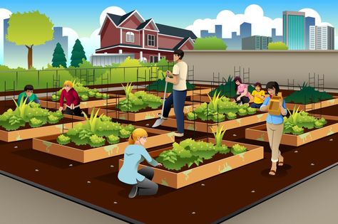 A closer look at how community gardens and urban farms are transforming American cities. Vector Illustration People, Farming Ideas, Benefits Of Gardening, Growing Greens, Urban Agriculture, Human Logo, Garden Drawing, Community Garden, Better Homes And Garden