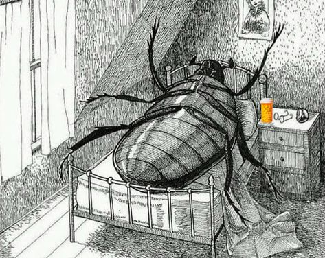 Gregor Samsa, Literature Humor, Franz Kafka, So Me, Literally Me, Me Core, Energy Home, Old Internet, Knock Out