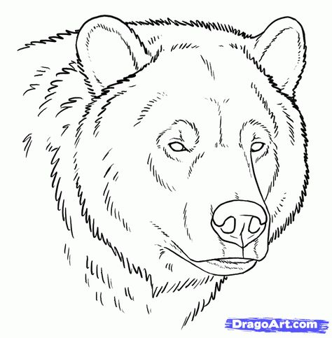 This tutorial about Grizzly bears starts with three head shots, the first one is a 3/4 head of a bear in normal mood. Description from dragoart.com. I searched for this on bing.com/images Black Bear Drawing, Bear Face Tattoo, How To Draw Bear, Drawings Of Bears, Drawing Bears, Mouth Drawings, Bear Face Drawing, Bear Sketch, Draw Faces