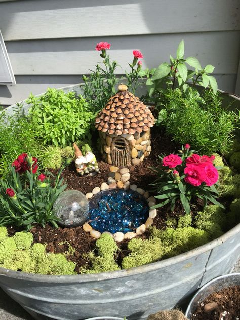 Building Fairy Garden, Fairy Dish Garden Ideas, Fairy Garden With Succulents, Fairy Garden Plant Pot, Cactus Fairy Garden, Small Fairy Garden Ideas, Mini Fairy Garden Ideas, Fairy Garden Container Ideas, Fairy Garden In A Pot