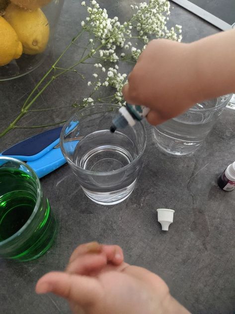 An easy flower experiment for toddlers Flower Experiment, Flowers And Food, Tiny White Flowers, Food Colouring, Kindergarten Science, Easy Flower, Baby S Breath, Science Experiments, Food Coloring