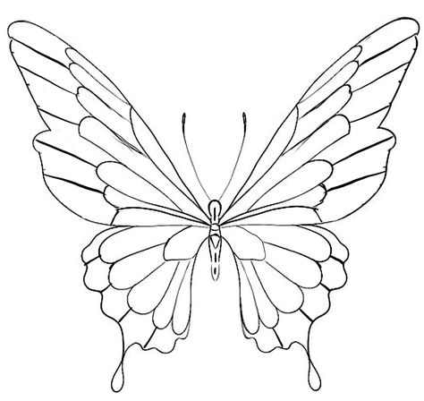 Butterfly Stencil Templates, Butterfly Wings Design, Butterfly Drawing Outline, Butterfly Sketch, Butterfly Outline, Art Papillon, Butterfly Stencil, Butterfly Art Painting, Butterfly Template