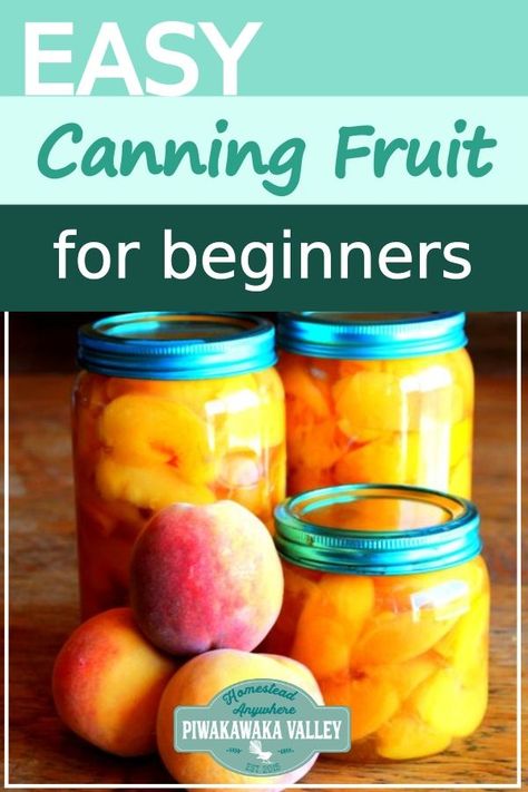 Easy canning for beginners. Preserving stone fruit the easy way in jars without a canner. Using a sugar syrup for canning fruit. #canning #piwakawakavalley How To Preserve Fruit, Preserving Fruit In Jars, Recipes For Tomatoes, Canning Recipes For Beginners, Crockpot Applesauce Recipe, Canning For Beginners, Canning Meat, Crockpot Applesauce, Applesauce Recipe