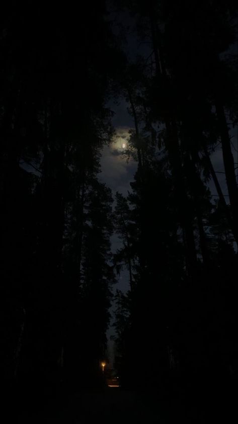 Woods Night Aesthetic, Dark Night Asthetics, Night Time Forest Aesthetic, Nighttime Forest Aesthetic, Dark Forest Asethic, Creepy Night Aesthetic, Moon Forest Wallpaper, Dark Night Aesthetic Wallpaper, Forest At Night Aesthetic