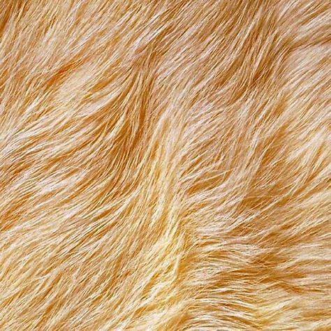 Lion skin - wild animal skin Lion Skin, Animal Skin, Wild Animal, Lion Head, Tapestry Throw, Wood Print, Hero Academia, Animals Wild, Poster Wall Art