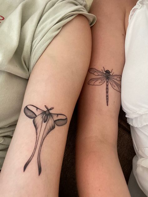 Dragonfly Tattoo Matching, Moth Tattoo Matching, Matching Insect Tattoos, Dragonfly Matching Tattoos, Moth And Dragonfly Tattoo, Matching Moth Tattoos, Tattoo Under Elbow, Matching Dragonfly Tattoos, Matching Bug Tattoos