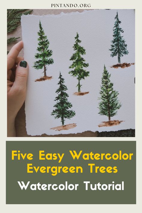 Discover the art of watercolor with our 'Five Easy Watercolor Evergreen Trees: Watercolor Tutorial' tutorial. Perfect for beginners, this step-by-step guide will help you create stunning landscapes featuring these iconic trees. Elevate your artistic skills and dive into a world of color, depth, and creativity. Join us on this inspiring journey and turn your imagination into a beautiful masterpiece. Watercolor Art For Beginners Trees, Pine Trees Watercolor Painting, Watercolor Christmas Cards Ideas Winter Scenes, Watercolor Pine Trees Tutorial, Watercolour Pine Trees, How To Paint Trees Watercolor, Evergreen Tree Drawing, Watercolor Art Lessons Tutorials, Watercolor Trees Tutorial