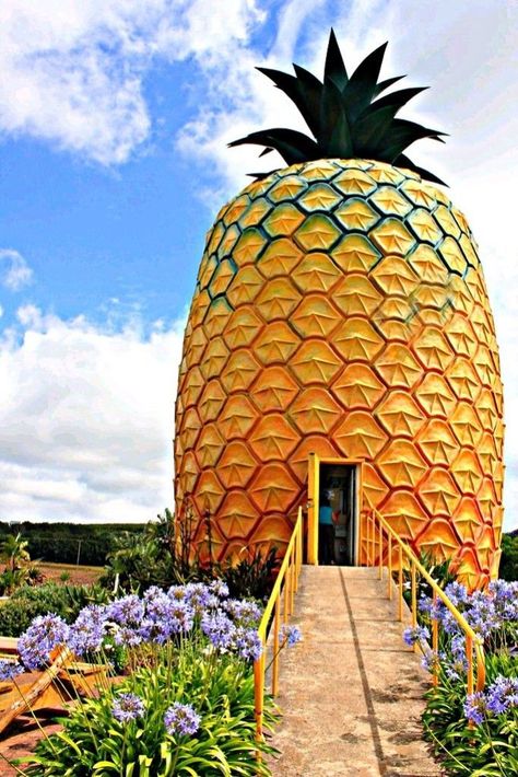 Big Pineapple in South Africa Sleepover Stuff, Lovely Houses, Big Pineapple, Nook Decor, Beach House Living Room, Observation Deck, Unusual Buildings, Unusual Homes, Unique Restaurants