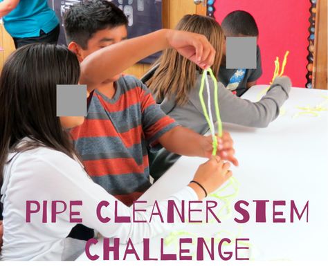 The Pipecleaner (aka "Fuzzy Sticks") Challenge is one of my favorite STEM  activities to introduce students to STEM learning. This is a fun,  inexpensive, and engaging challenge that can be tailored to different ages,  settings, and time-frames.  This challenge is also an excellent team  icebreaker. Stem Club, Steam Challenges, Stem Engineering, Teaching Stem, Stem Lesson, Stem Classroom, Stem Challenge, 6th Grade Science, Stem Steam