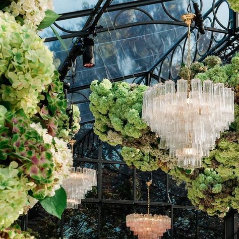 Larry Walshe on Instagram: "Elevated floral displays steal the spotlight at @villa_balbiano.⁠ From gracefully suspended hydrangeas adorning the venue to meticulously arranged floral runners gracing the tables, creating a fusion of opulent textures.⁠ ⁠ Florals: @larrywalshe⁠ Planning and design: @lakecomoweddings⁠⁠ Photography: @katenielen⁠ Location: @theheritagecollection⁠ @villa_balbiano⁠ Printed goods: @letterink⁠ Rentals: @comocollection⁠ Lighting: @blunotteventi⁠" Villa Balbiano Wedding Reception, Hydrangea Chandelier, Marquee Wedding Inspiration, Limelight Hydrangea, Floral Runner, Hydrangeas Wedding, Wedding Display, Steal The Spotlight, Marquee Wedding