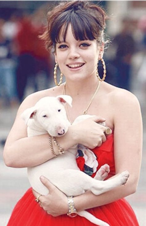 Lily Allen And Her Bull Terrier Puppy Ingenue Celebrities, Bully Terrier, Pit Dog, Pitt Bulls, Photos Of Celebrities, Bull Terrier Puppy, Lily Allen, Bully Dog, English Bull Terriers