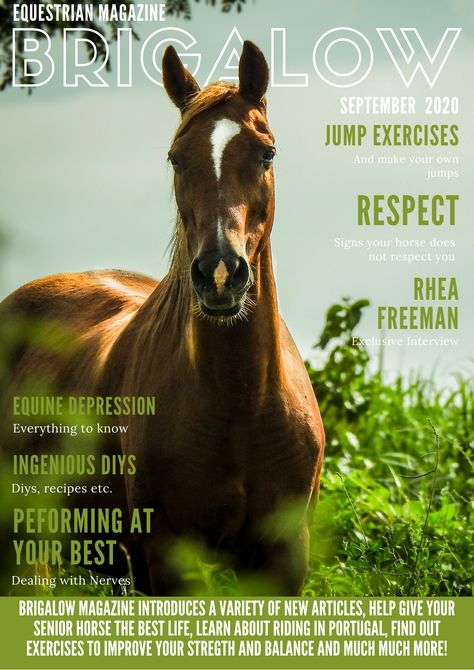 Horse Magazine Cover, Horse Riding Art, Equestrian Magazine, Leaflet Ideas, Workshop Flyer, Toucan Illustration, Final Piece Ideas, Animal Magazines, Magazine Cover Ideas