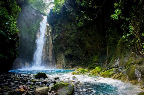 Nine Waterfalls within Driving Distance from Playa Grande, Costa Rica - RipJack Inn Costa Rica Waterfalls, Costa Rica Waterfall, Forest Ecosystem, Waterfall Photo, Forest Waterfall, Tubing River, Visit Costa Rica, Costa Rica Vacation, Natural Swimming Pool