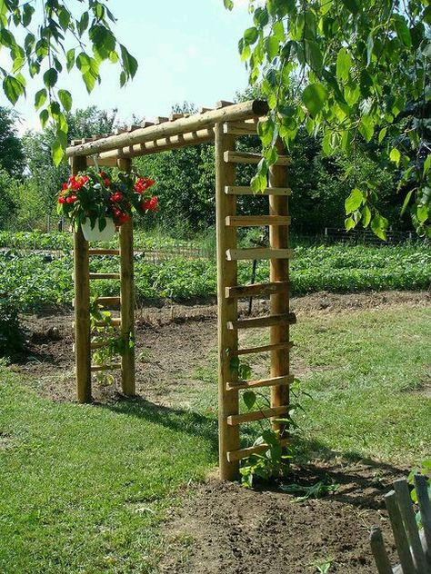 Grape Arbor, Wooden Arbor, Landscape Timbers, Garden Vines, Garden Arbor, Garden Arches, Have Inspiration, Garden Trellis, Garden Structures