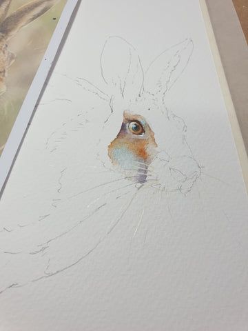 Hare Pictures, Hare Watercolour, Running Hare, Hare Painting, Monday Christmas, Feeling Low, Watercolor Art Diy, Fox Pictures, Christmas Is Over