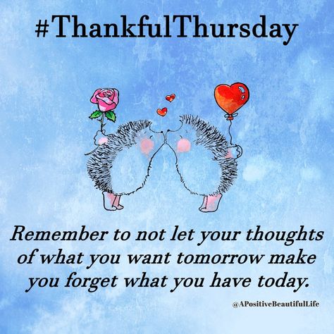 #ThankfulThursday Happy Thankful Thursday, Happy Mind Happy Life, Good Morning Thursday, Thursday Quotes, Thankful Thursday, Morning Thoughts, Thursday Morning, Morning Affirmations, Expressing Gratitude