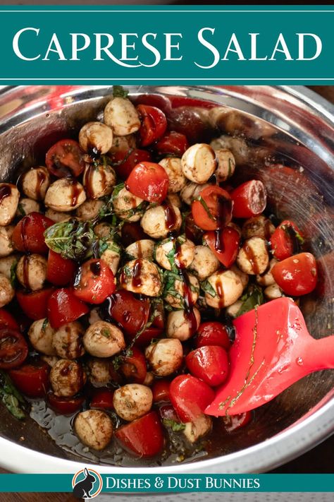 Experience the fresh flavors of summer with this easy and delicious Caprese Salad recipe! Perfect for a light lunch, starter, or side dish, this salad combines juicy cherry tomatoes, creamy bocconcini (mozzarella balls), and aromatic fresh basil, all drizzled with extra-virgin olive oil and balsamic vinegar. To finish, a drizzle of balsamic glaze adds a touch of sweetness. It's a beautiful and vibrant dish that's sure to impress. Tomato Bocconcini Salad Balsamic Vinegar, Balsamic Glaze Salad, Bocconcini Salad, Best Lunch Recipes, Mozzarella Balls, Caprese Salad Recipe, Mozzarella Salad, Dust Bunnies, Salad Dishes