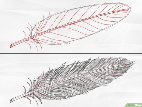 How to Draw a Feather: 8 Steps (with Pictures) - wikiHow Feather Drawing, Watercolor Feather, Feather Painting, Feather Art, Bird Drawings, Zentangle Art, Linoleum, Step By Step Drawing, Drawing Techniques