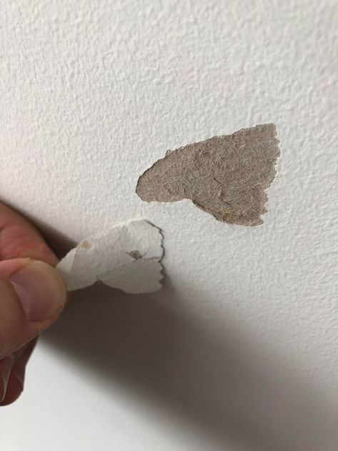 how to fix paint ripped off wall How To Fix Wall Holes, How To Fix Walls Before Painting, Fix Wall Damage, How To Get Sticky Residue Off Walls, How To Fix Paint Chips On Wall, Fix Peeling Paint On Walls, Paint Peeling On Walls, Fixing Walls Damage, Paint Touch Up On Wall