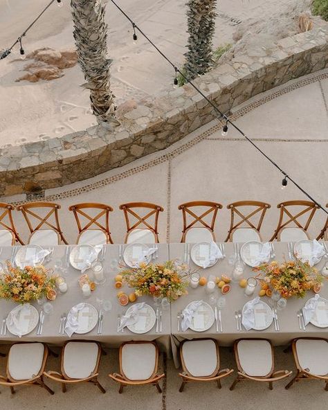 Details, Darling on Instagram: "A modern coastal affair —— Tropical destination weddings will always be a favorite! We loved planning this intimate and vibrant rehearsal dinner along the coast for K + P. ⠀⠀⠀⠀⠀⠀⠀⠀⠀ Planning + Design: Kenzie of @detailsdarling @kenzie_swift Photo: @arawcollection Venue: @esperanzaauberge Florals: @ariaverafloral Rentals: @delcaboweddings" Cabo Weddings, Swift Photo, Tropical Destinations, Modern Coastal, Tropical Wedding, Rehearsal Dinner, Destination Weddings, Rehearsal Dinners, The Coast