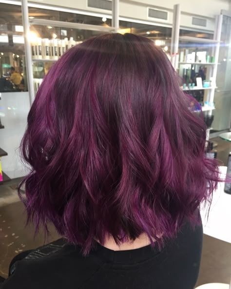 Purple Colored Hair Ideas, Plum Hair Aesthetic, Purple Hair With Shadow Root, Plum Hair Short, Grape Violet Hair Color, Short Plum Hair, Grape Hair Color, Berry Brown Hair Color, Dark Purple Short Hair