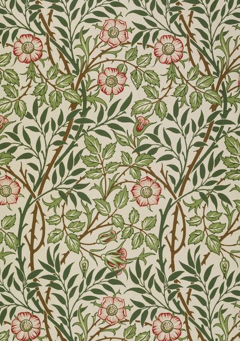 William Morris Wallpaper, Sweet Briar, William Morris Patterns, Prada Marfa, Morris Wallpapers, William Morris Art, William Morris Designs, Gold Poster, 수채화 그림