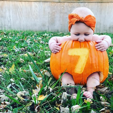 Pumpkin 6 Month Pictures, Halloween Photos Baby, 6 Month Pumpkin Photoshoot, Diy Baby Pumpkin Photoshoot, 3 Month Old Pumpkin Pictures, 2 Month Pumpkin Pictures, Pumpkin Baby Pictures Photo Shoot, Baby And Pumpkin Photo Ideas, Pumpkin Baby Photos