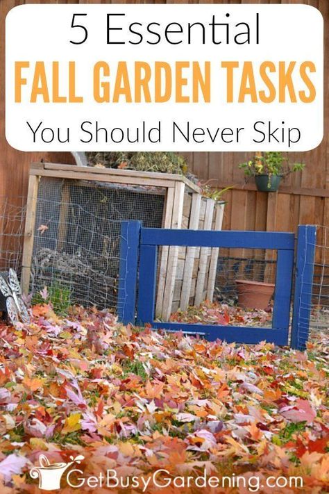 If fall chores and preparation are stressing you out, then this short list of essential fall garden tasks is just what you need! You don’t have to stress out over getting it all done before winter. Most fall maintenance and clean up tasks can wait until spring. Follow my quick DIY fall care tips, and get my short checklist of the 5 tasks you should never skip (and maybe add a few of your own ideas). Then relax and leave the rest until spring. #fallgardening #winterizegarden #gardening #garden Cold Climate Gardening, Fall Maintenance, Diy Garden Landscaping, Fall Garden Vegetables, Fall Care, Fall Garden, Quick Diy, Seasonal Garden, Garden Landscape Design