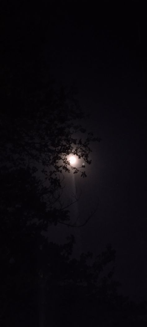 #Night #moon #tree #aesthetic Dark Night Moon Aesthetic, Tree At Night, Tree Aesthetic, Moon Tree, Moon Aesthetic, Moon Photos, Night Moon, Moon Pictures, Tree Images