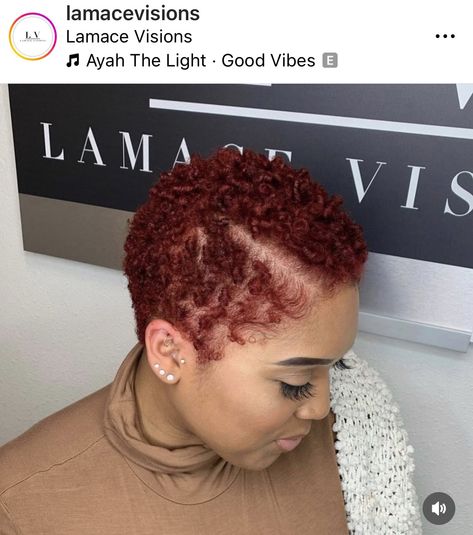 Short Natural Curls, Big Chop Natural Hair, Short Textured Hair, Short Dyed Hair, Finger Coils, Short Natural Hair, Hair Black Women, Short Red Hair, Natural Hair Cuts