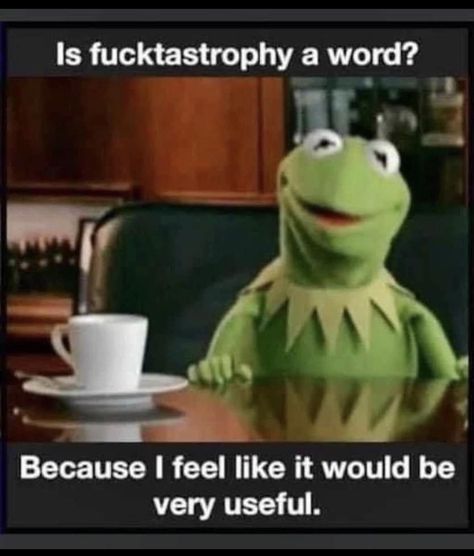 Off Color Humor, Coworker Humor, Kermit Funny, Perfect Word, Funny Cartoon Quotes, Cartoon Quotes, Work Memes, Sarcastic Quotes Funny, The Frog