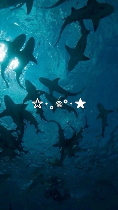 Ocean Core Wallpaper, Dark Sea Wallpaper, Sea Creature Wallpaper, Dark Ocean Wallpaper, Shark Wallpaper Aesthetic, Shark Wallpaper Iphone, Sharks Wallpaper, Ocean Creatures Art, Shark Background