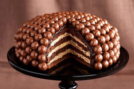 Chocolate Malteser Cake, Malteser Cake, Chocolate Bar Recipe, Amazing Chocolate Cake Recipe, Cooking Chocolate, Cake Bars, Chocolate Dessert Recipes, Brownie Cake, Köstliche Desserts