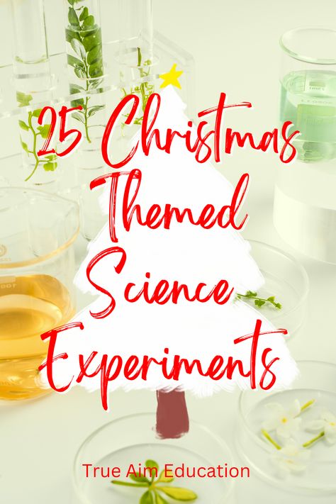 December Stem, Christmas Study, Wedding Napkin Folding, Christmas Science Activities, Christmas Stem Activities, Christmas Science Experiments, Holiday Science, Christmas Units, Christmas Science