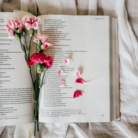 Bible journaling spring flowers aesthetic Faith Aesthetic Photography, Bible And Flowers Aesthetic, Gods Creation Aesthetic, Ruth Core Aesthetic, Bible Photography Aesthetic, Faith Core Aesthetics, Bible Pictures Aesthetic, Bible Aesthetic Pictures, Aesthetic Bible Pictures