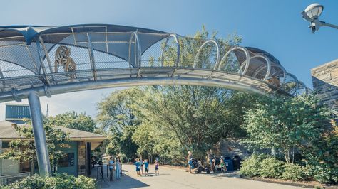 New discoveries about the emotional lives of animals are raising difficult questions about keeping wild things in captivity Day In Los Angeles, Ap Environmental Science, Zoo Design, Tiger Jungle, Zoo Project, Zoo Architecture, Zoo Ideas, Woodland Park Zoo, Philadelphia Zoo