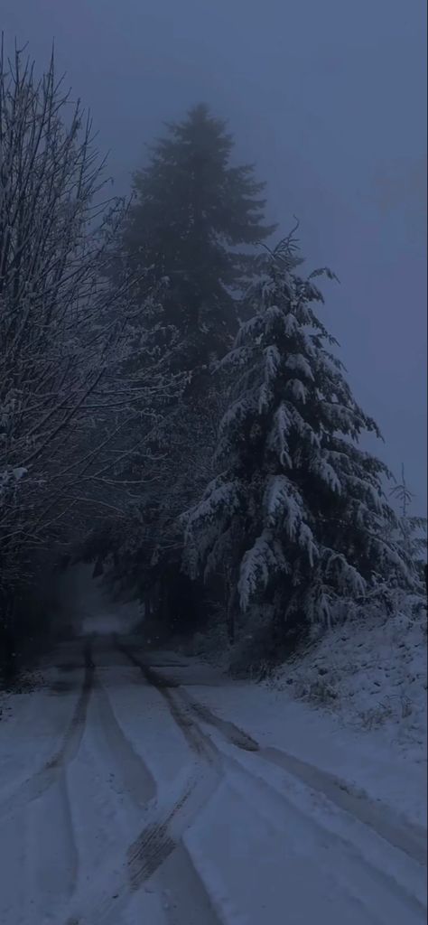 Cold Winter Night Aesthetic, Scary Christmas Wallpaper, Dark Winter Aesthetic Wallpaper, Dark Winter Wallpaper, Snow Aesthetic Wallpaper, Dark Winter Aesthetic, Snowing Aesthetic Wallpaper, Road Wallpaper, Snowy Road