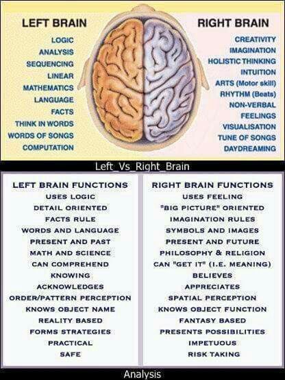 Left Vs Right Brain, Left Brain Right Brain, Brain Facts, Brain Anatomy, Brain Science, Right Brain, Medical Knowledge, Change Management, Human Brain