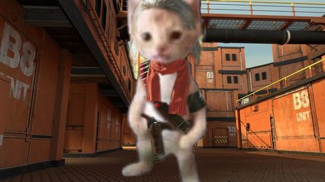 Metal gear kitties Metal Gear Ocelot, Otacon Mgs, Mgs Art, Revolver Ocelot, Icon Gif, Metal Gear Solid, Metal Gear, Kitty, Outfit Inspo