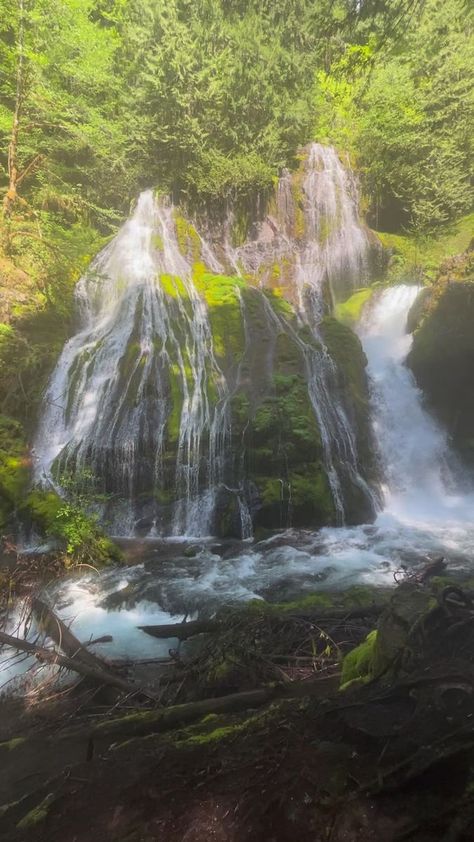 Panther Creek Falls - Gifford Pinchot National Forest. 5/18/23. #waterfall #pnwonderland #pnw #PNWLife #Washington #giffordpinchotnationalforest #creek #spring | Jeff Sheppard | Jeff Sheppard · Original audio Panther Creek Falls Washington, Gifford Pinchot National Forest, National Forest, Panther, Washington, Hiking, Forest, Places To Visit