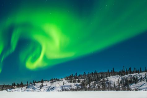 Yellowknife Canada, Northern Lights Canada, Northern Lights Viewing, Wilderness Resort, Arctic Ocean, Lake Lodge, See The Northern Lights, Light Pollution, Travel Light