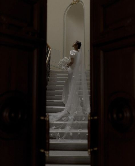 Wedding Dress Stairs, Green Anthurium, Goal Aesthetic, Bride Shoot, Wedding Pose, Photoshoot Wedding, Wedding Photography Styles, Bridal Photoshoot, Courthouse Wedding