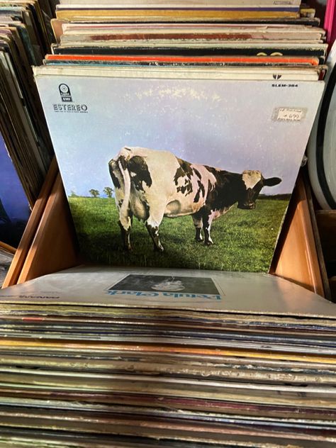 Cow Vinyl pink floyd. Pic by Mara Pink Floyd Aesthetic, Pink Floyd Vinyl, 60s Summer, Cd Aesthetic, Cow Drawing, Vinyl Music, I Love Music, Pink Floyd, Dark Side