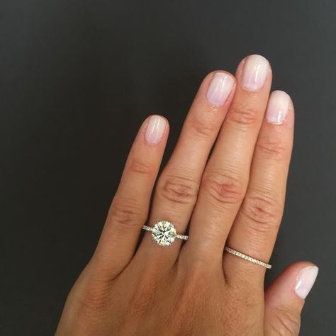 Round Brilliant Engagement Ring, Stephanie Gottlieb, Fine Engagement Rings, Round Engagement, Cool Wedding Rings, Wedding Rings Round, Beautiful Wedding Rings, Round Engagement Rings, Wedding Rings Solitaire