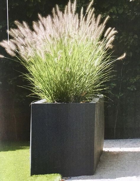 Convert large pots into water fountains or water gardens. Add aquatic plants and small fish for a tranquil garden feature. Pot Grouping:  Group pots in odd numbers for a natural, balanced look.  #GardenDesign #OutdoorLiving #PlantPots #GardeningIdeas #HomeDecor #OutdoorDecor #DIYGarden #GardenInspiration #PlantLovers #PotDecoration #LandscapingIdeas #GardenStyle #GreenThumb #GardenCreativity #BackyardDesign Pot Design Ideas, Pot Landscaping, Pot Decoration Ideas, Herbs In Pots, Large Ceramic Planters, Herb Garden Pots, Front Lawn Landscaping, Terrace Garden Ideas, Ideas For Garden