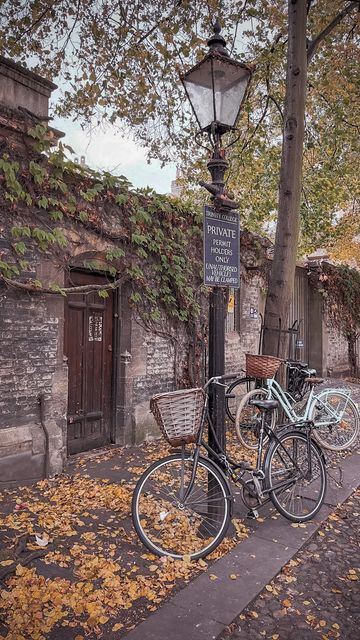 Sarah Hagan on Instagram: "The beautiful city of Cambridge in October ✨🍂 If you visit Cambridge here are a few things to do: . Join a guided tour on a punt - £20 per person . Walk along the river to GrantChester meadows . Visit one of the colleges along the river . Eat at Fitzbillies . Stroll down Trinity Lane . Watch out for the bikes! 🚲 . . . . . #romanticacademia #darkacademia #seekthesimplicity #doortomywonderland #cambridge #cottagecore #beautifuldestinations #cottagecoreaesthetic # Grantchester Aesthetic, Grantchester Meadows, Cambridge Autumn, Cambridge Aesthetic, Trinity College Cambridge Aesthetic, Cambridge In Autumn, Camden Town Aesthetic, Autumn Lake District, Leadenhall Market London